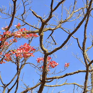 Meet your Posher, Faith studio new york